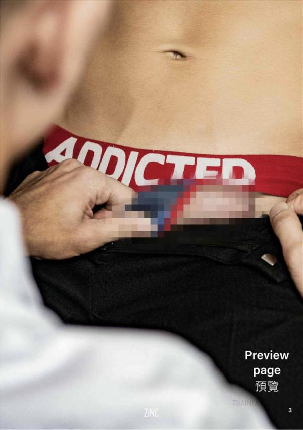 ZiNC-01--The-Intern--EbookVideo-